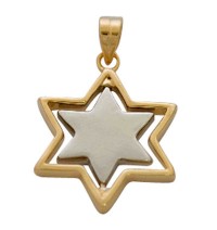 Two tone Star of David Pendant